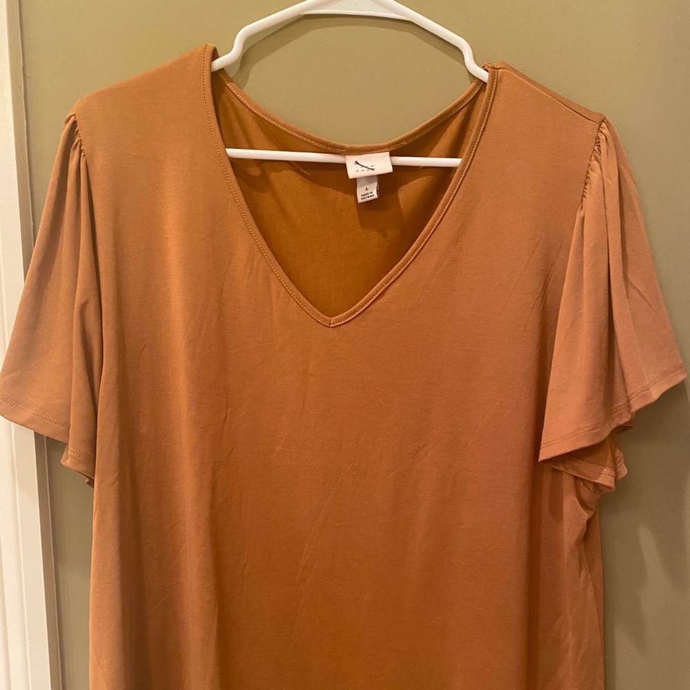 Rust flutter sleeve blouse